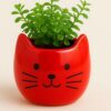 Planter/ Vases