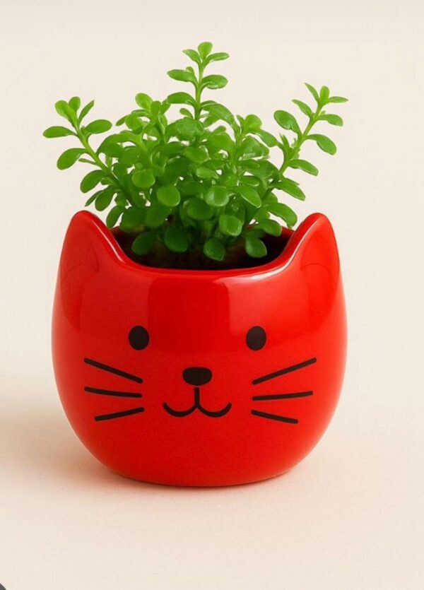 Planter/ Vases