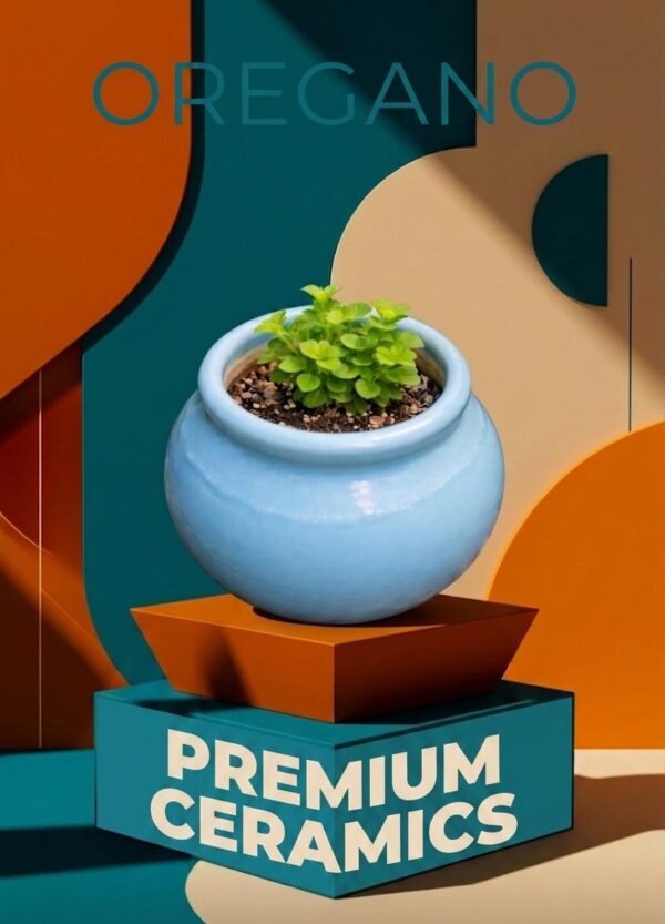 Planter/ Vases